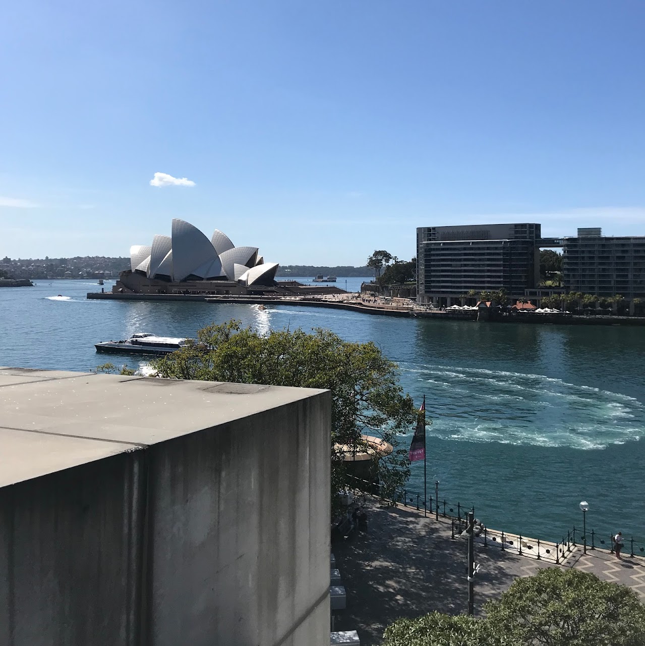 Sydney Opera House and ferry wake seen across the harbour